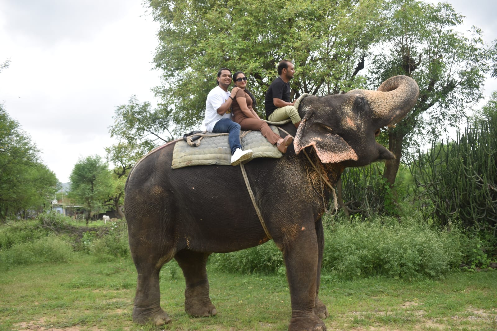 Travel moments Jaipur photo